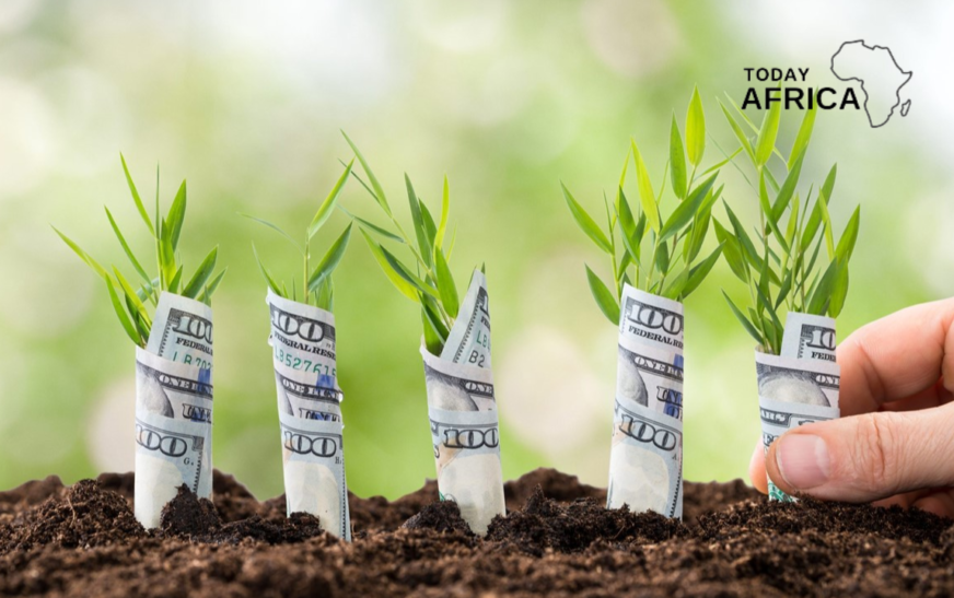 Pre-Seed Funding for Startups: What it is and How to Get it