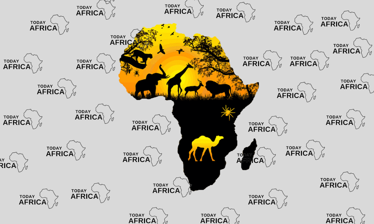 How (& Why) We Are Building Today Africa