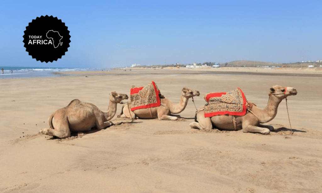 15 Best Beaches in Morocco [& Essential Packing List]