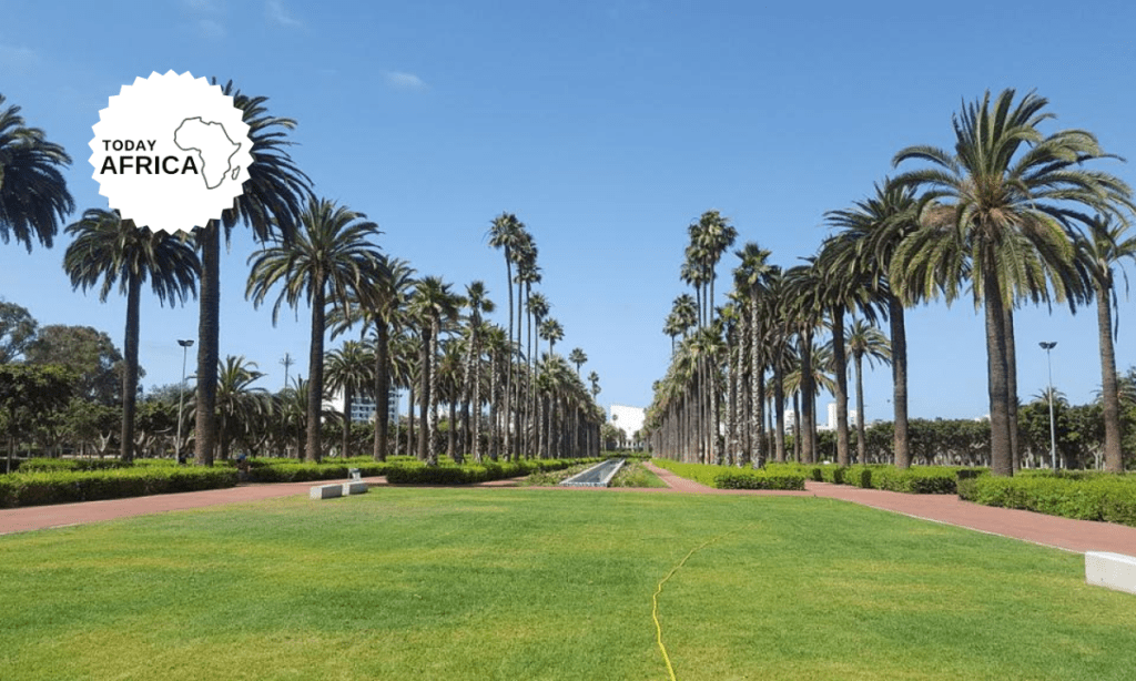 Top 21 Things to Do in Casablanca When You Visit