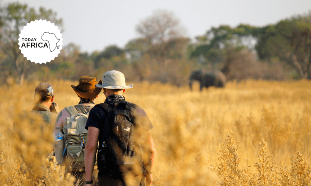 What to Pack for a Safari in Kenya