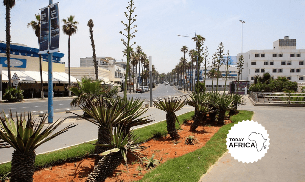 Top 21 Things to Do in Casablanca When You Visit