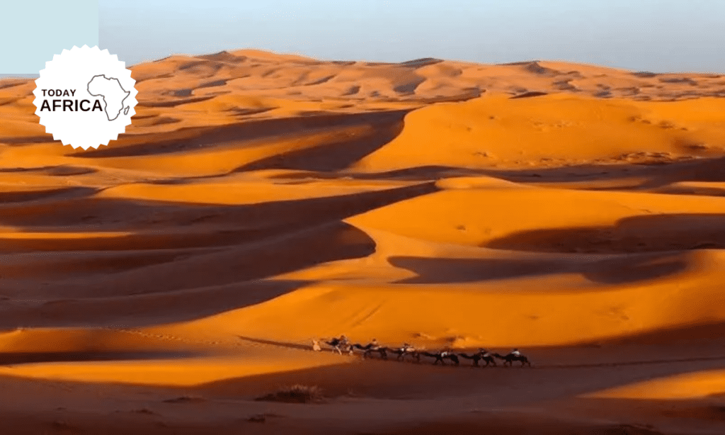 28 Things to Do in Morocco (On Your First Visit)