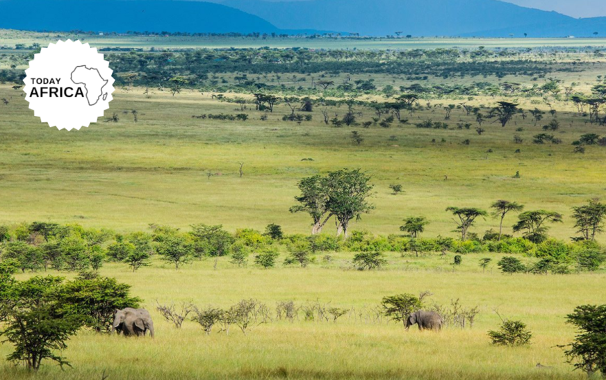 What to Pack for a Safari in Kenya