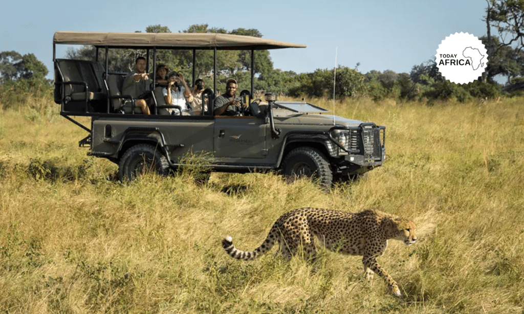 Top 10 Botswana National Parks to Visit This Year