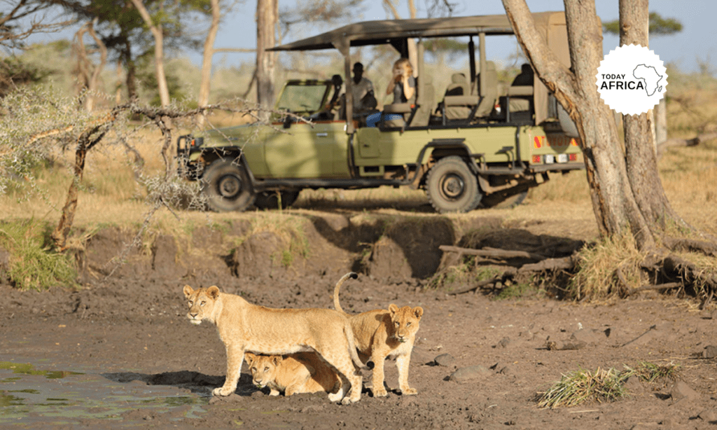 Top 10 Botswana National Parks to Visit This Year