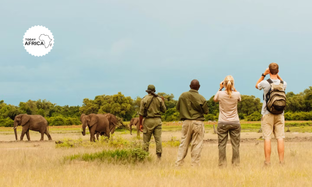 Safari Packing List Botswana: Tips on What to Bring