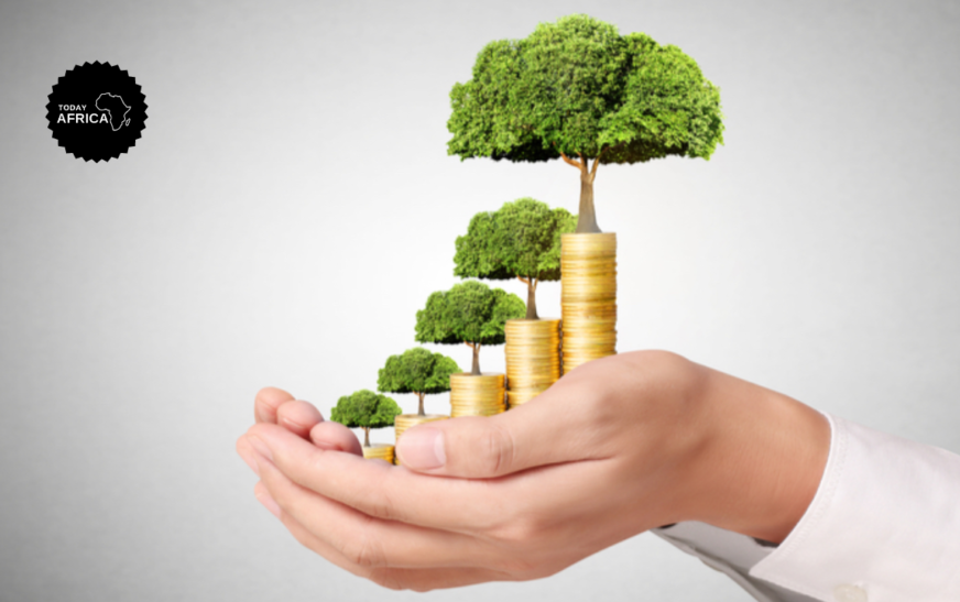 How to Get Seed Funding for a Startup This Year