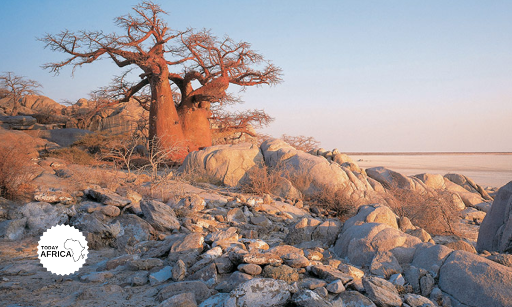 The Traveler's Guide to Makgadikgadi National Park Botswana