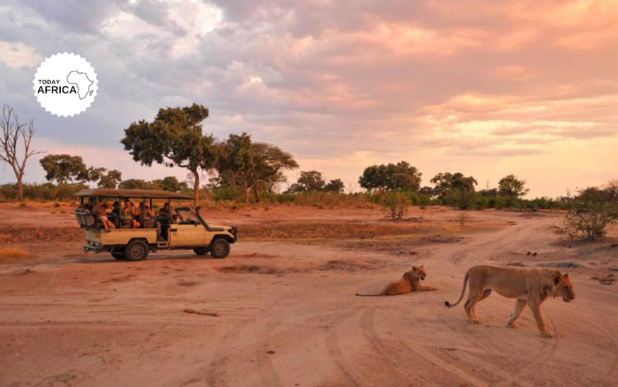Moremi National Park Botswana: Wildlife Paradise in Africa
