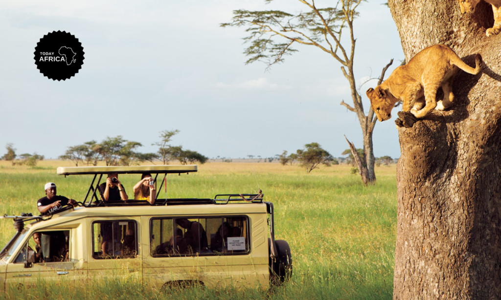 14 Best Clothes for Safari Tanzania [+ Infographic]