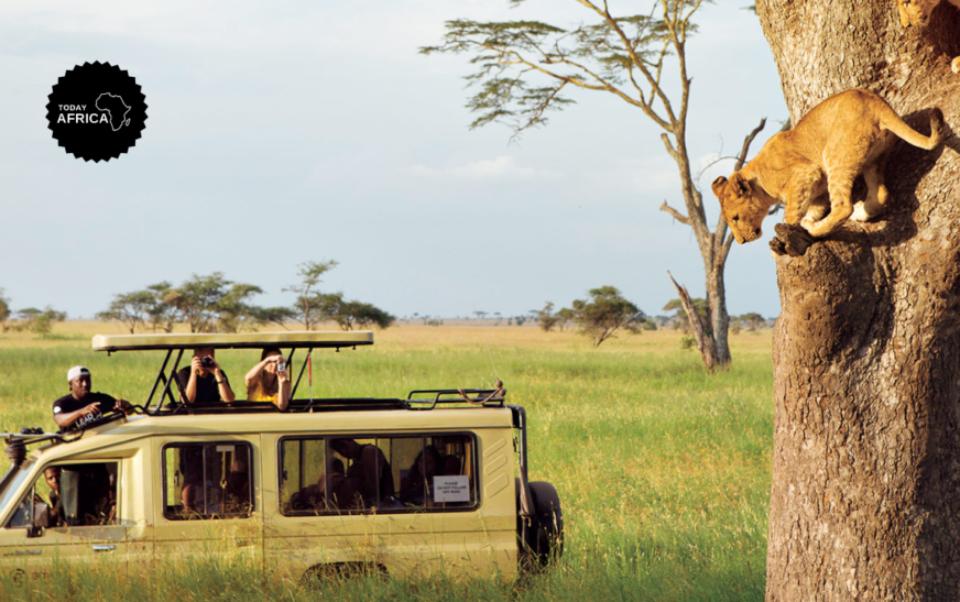 Safari Packing List South Africa For This Year