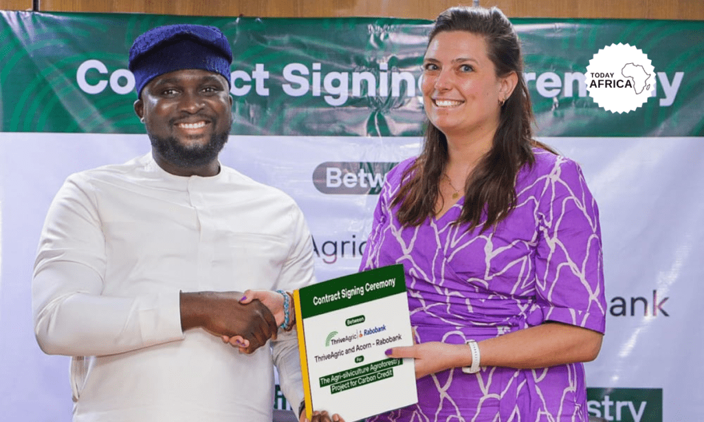 ThriveAgric Partners with Acorn Rabobank to Provide Carbon Credit Access to Smallholder Farmers