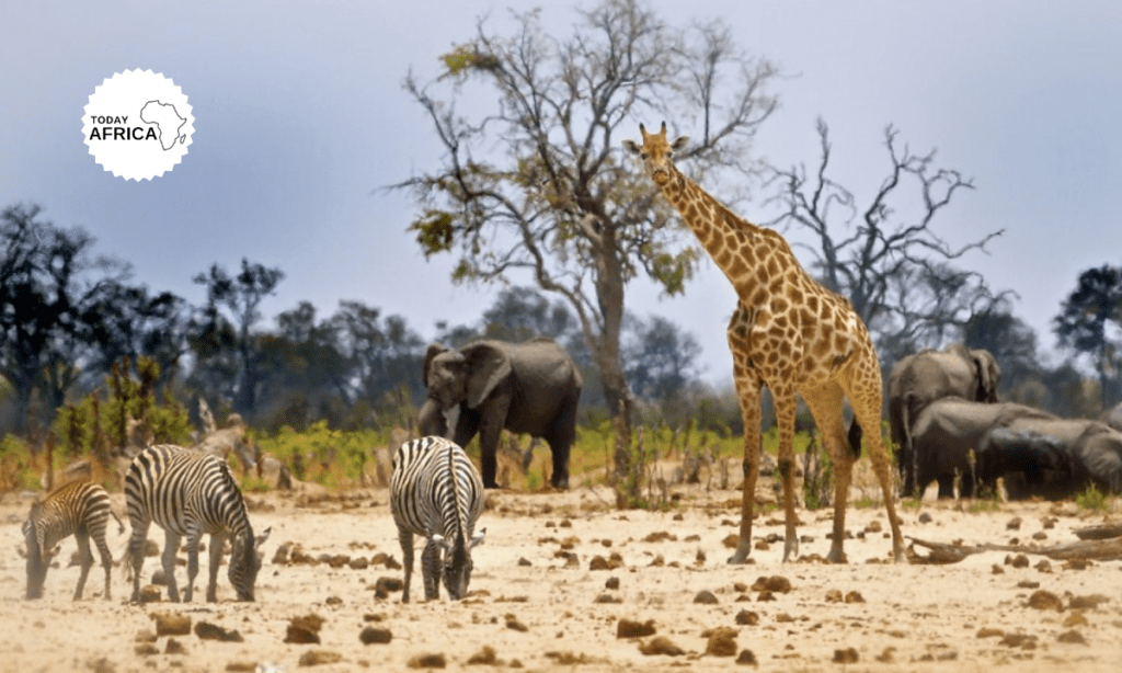 11 Best Places to Visit in Zimbabwe This Year