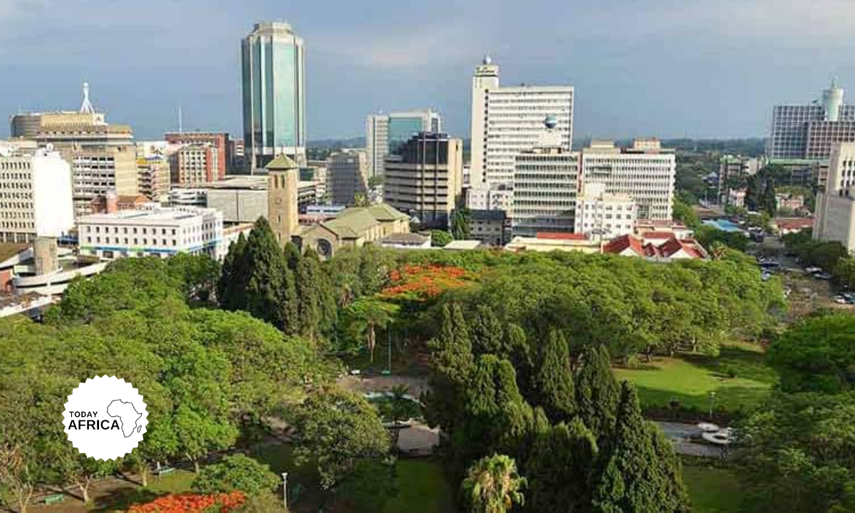 How to Make Money in Zimbabwe This Year - Today Africa