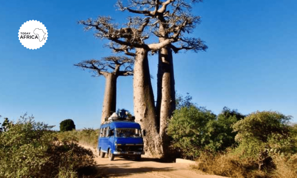 Top 100 Business Ideas in Madagascar This Year