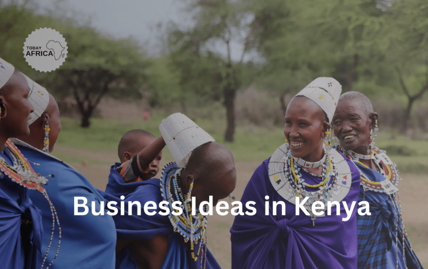 213 Business Ideas in Kenya to Start This Year Today Africa