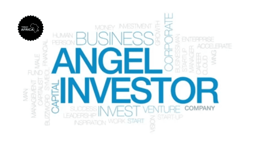 What Do Angel Investors Get in Return for Their Money