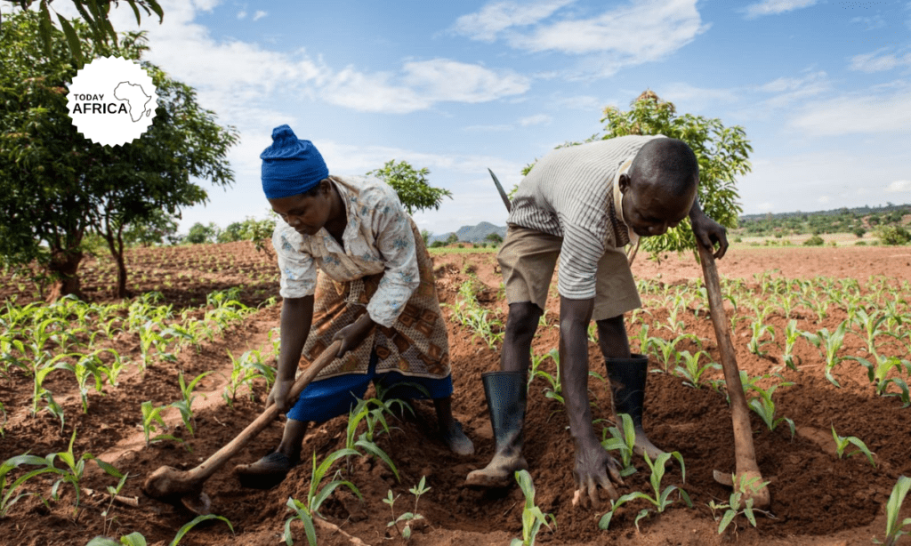 One Acre Fund Raises $1.4 Million with Plans to Serve 10 Million Farmers by 2030