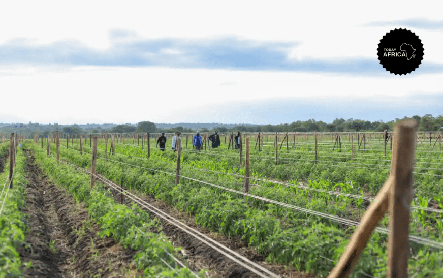 Nigeria Targets Data Capture for Farmers