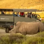 Uber launches Uber Safari in South Africa