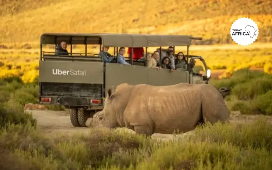 Uber Launches Uber Safari in South Africa for $200