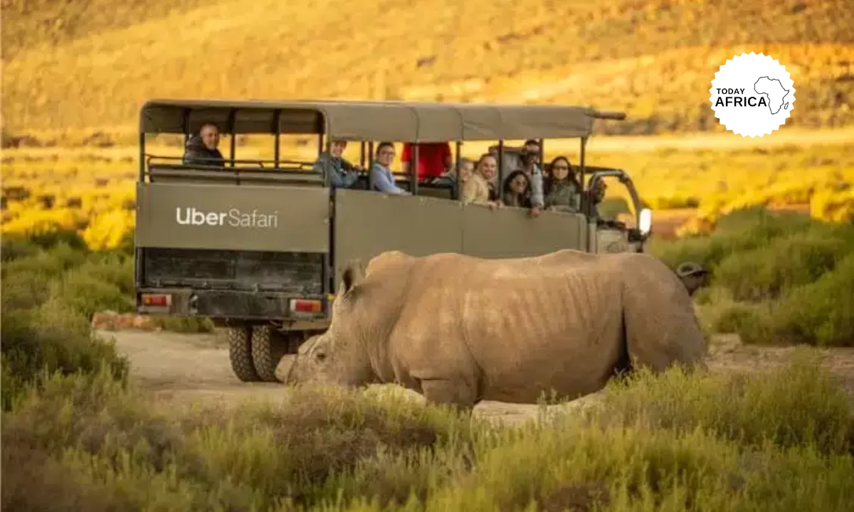 Uber Launches Uber Safari in South Africa for $200