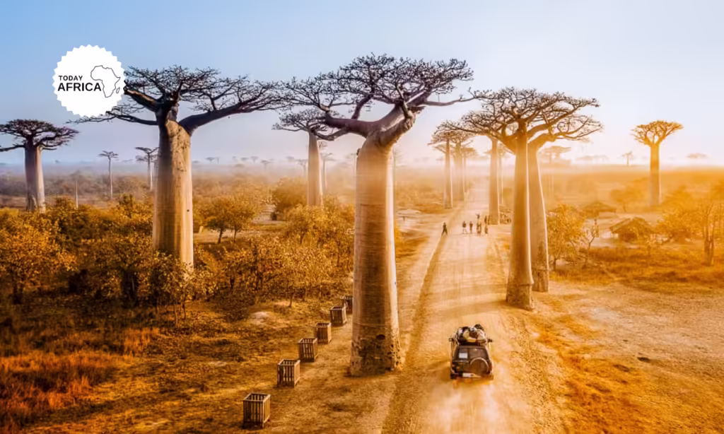 25 Best Places to Visit in Africa for First Timers