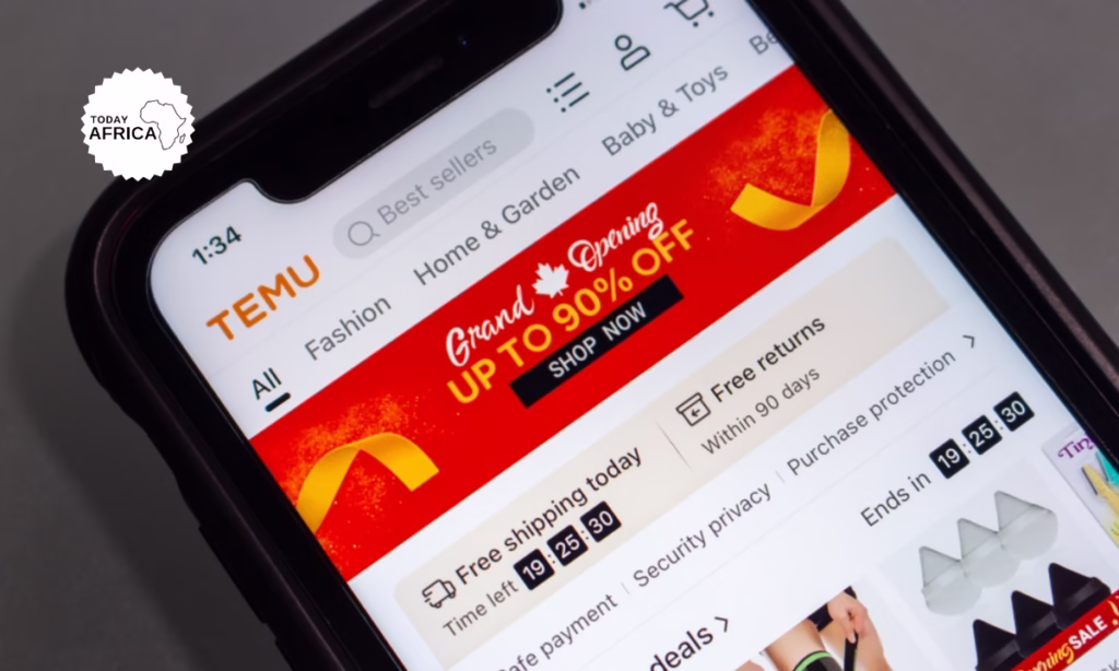 What is Temu App Used For?