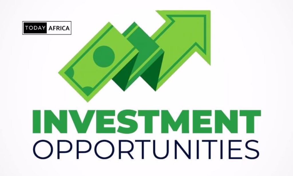 Top 7 Opportunities for Investment in South Africa This Year