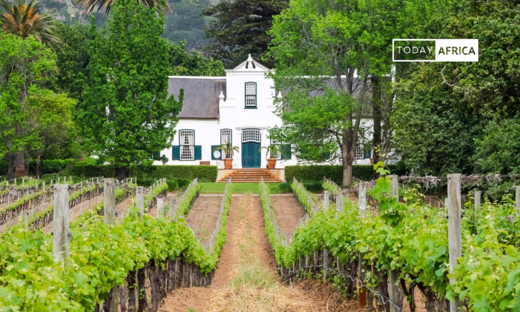 Top 5 Business Opportunities in Cape Town South Africa This Year