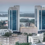 Tanzania’s digital payments hit $11.6 billion as real-time system adoption rises