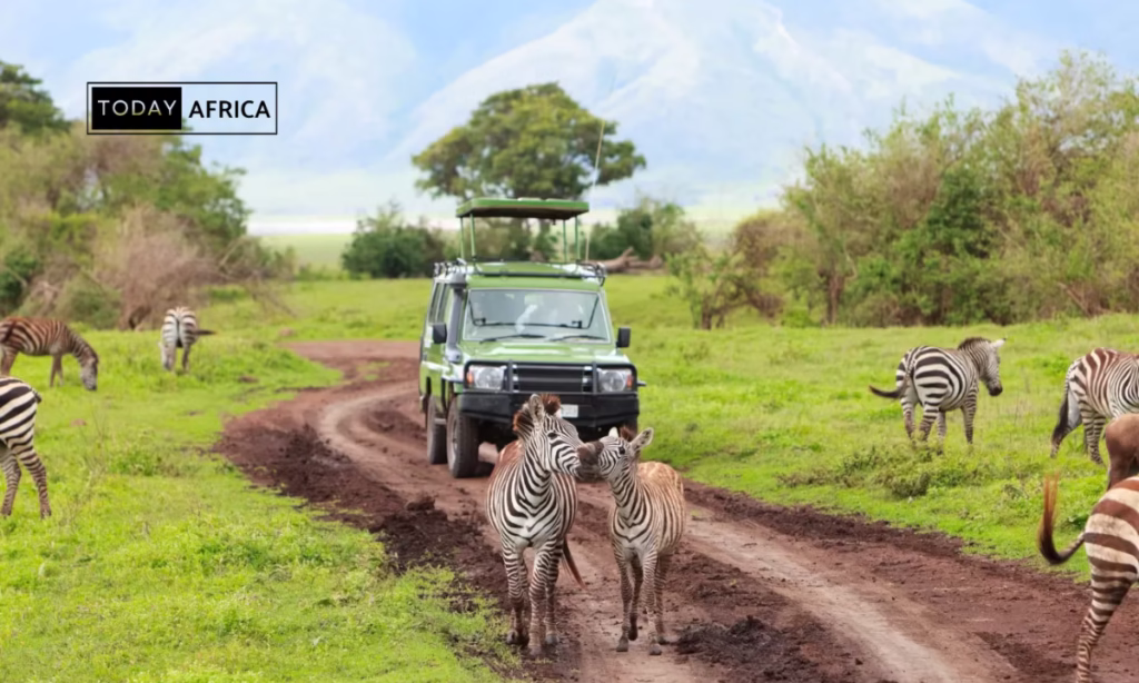 Interested in Investing in Africa? Here are Top 13 Investment Opportunities