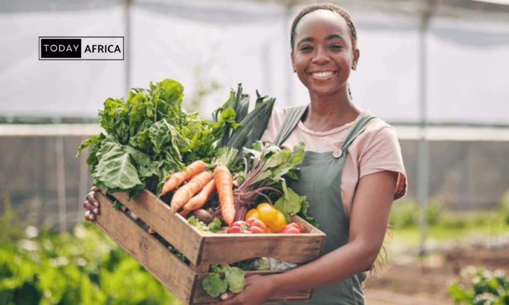 Top 100 Business Ideas in Comoros This Year