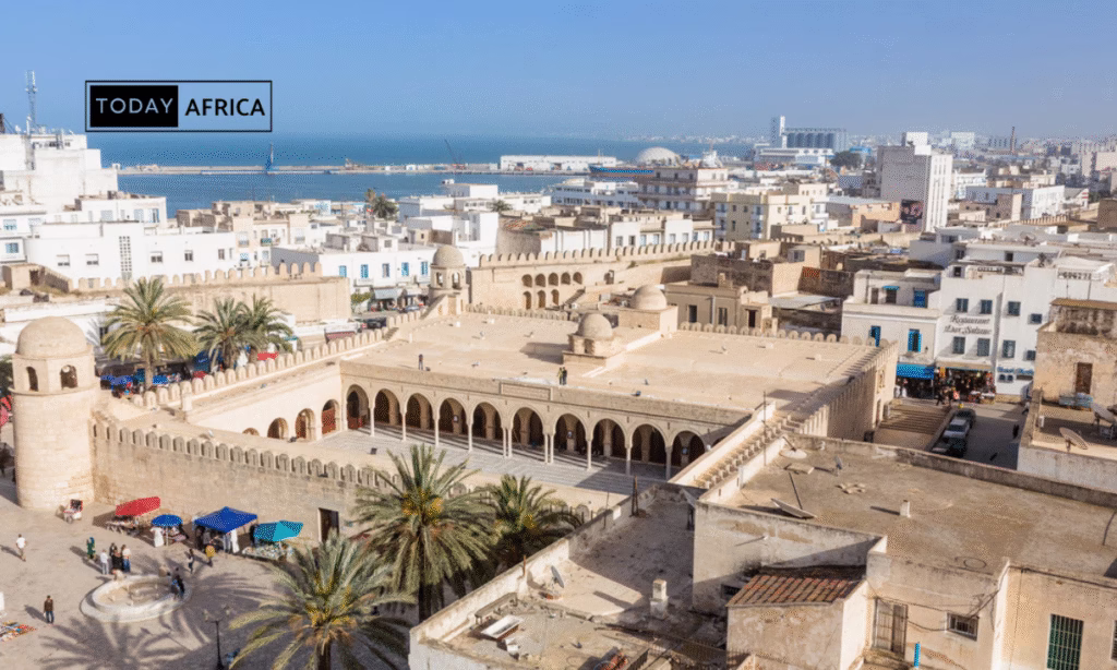Top 100 Business Ideas in Tunisia This Year
