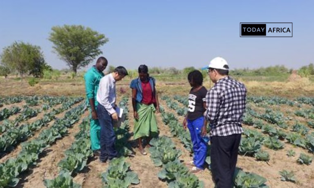 Top 100 Business Ideas in Eswatini This Year