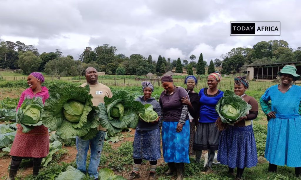 Best Small Business to Start in Rural Area This Year [50]