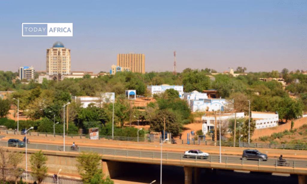 Top 100 Business Ideas in Niger This Year