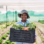 Top 21 Agritech Companies in Nigeria This Year