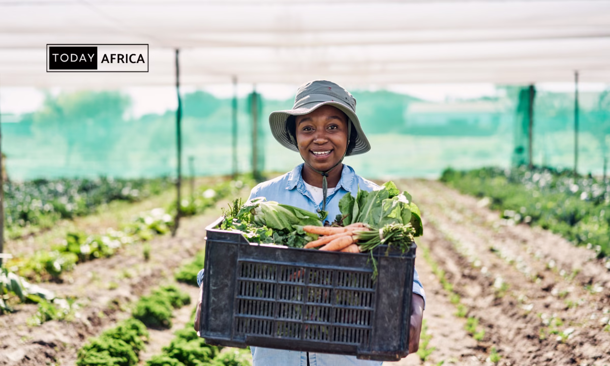 Top 21 Agritech Companies in Nigeria This Year
