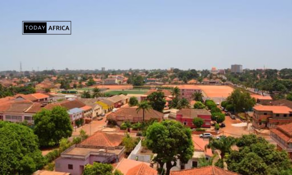 100 Business Ideas in Guinea-Bissau This Year