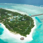Top 100 Business Ideas in the Maldives to Start This Year