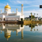 100 Profitable Business Ideas in Brunei to Start This Year