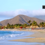 100 Profitable Business Ideas in Venezuela to Start This Year