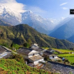 100 Profitable Business Ideas in Nepal to Start This Year