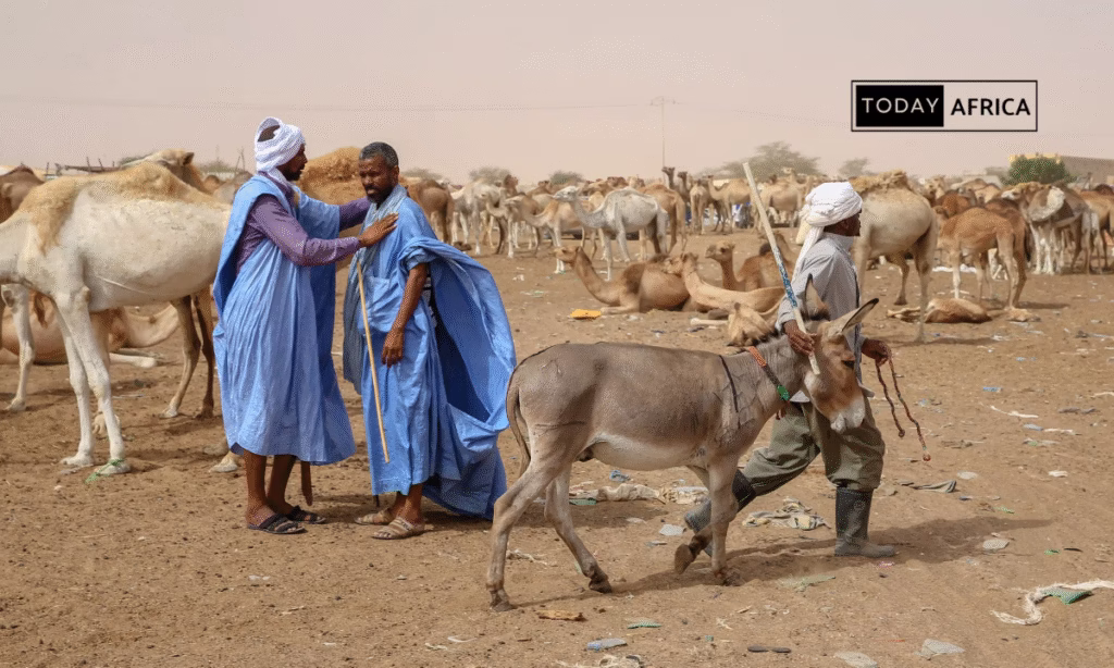 Eid al-Adha Celebrations Amid Economic Hardships in West Africa