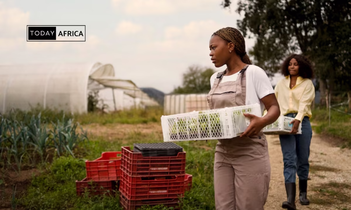 Top 22 Agritech Startups in Nigeria This Year