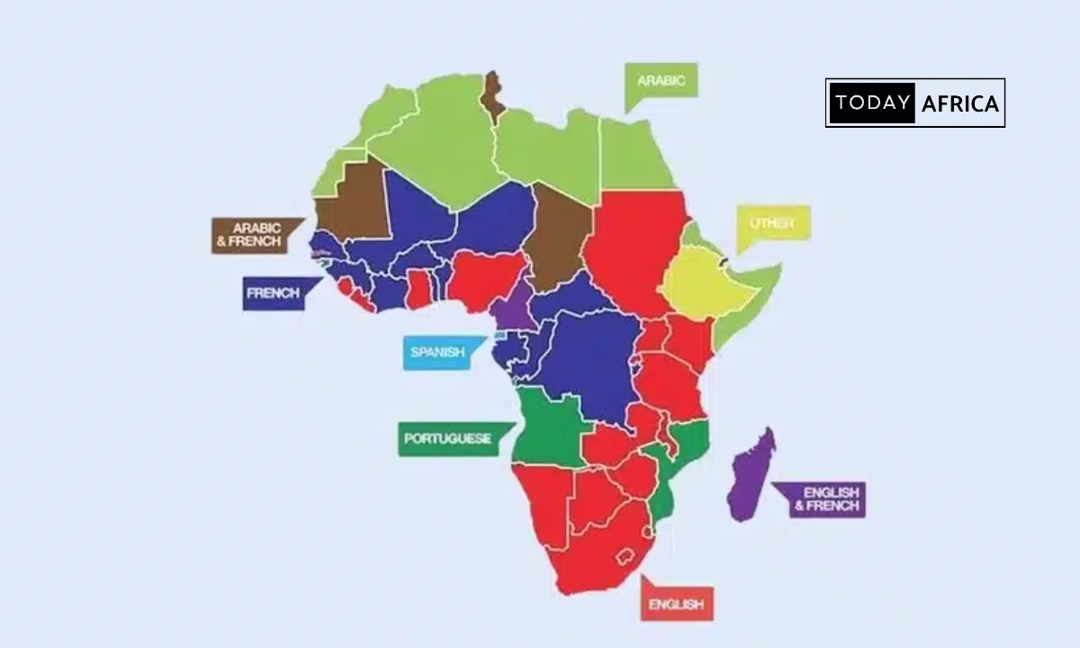 Scaling From 0 to 1,000 Customers in Francophone Africa