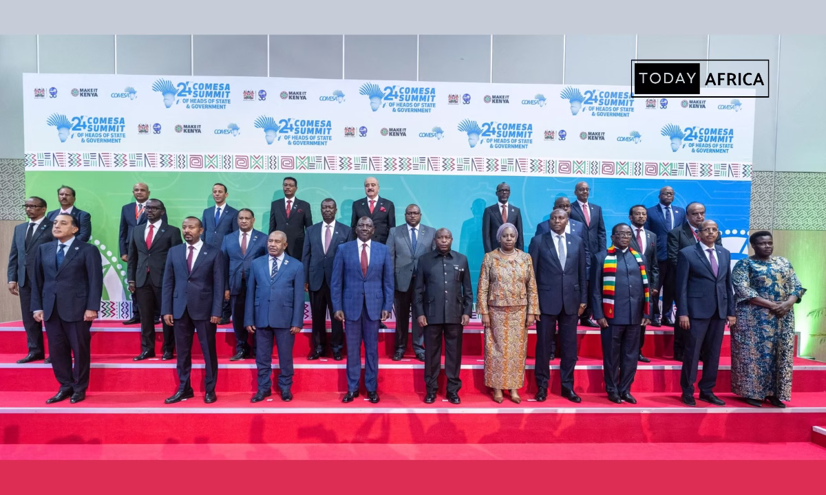 COMESA bets on new payment system to reduce dollar reliance