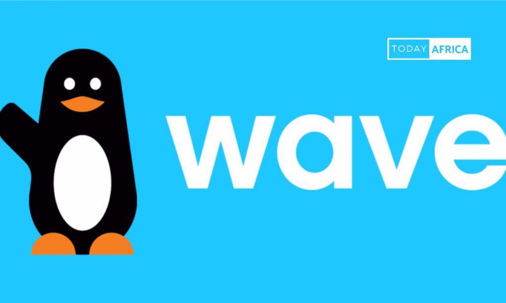 Inside Wave’s Journey: Francophone Africa's First Unicorn